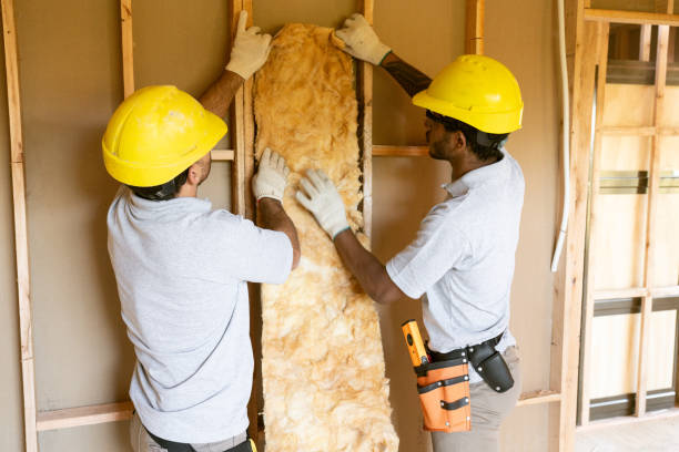 Best Eco-Friendly or Green Insulation Solutions  in Hoback, WY